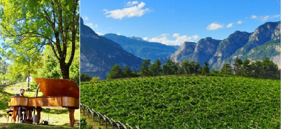 Una serata di musica e bollicine per valorizzare le cantine e lo spumante a metodo classico di San Michele
